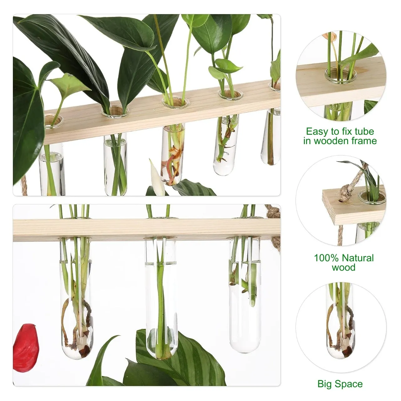 1-Tier Wall Hanging Test Tube Planter.