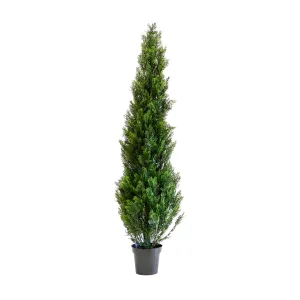 Artificial Mini Cedar Tree