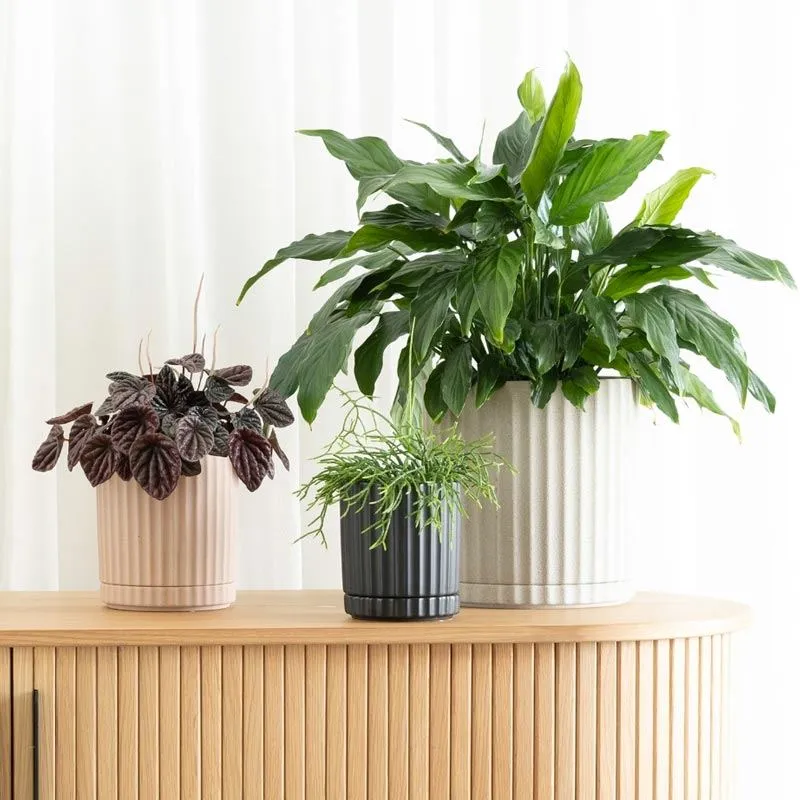 Athens Planter - Black