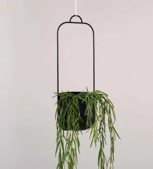 Black Hübsch Iron Hanging Planter Single