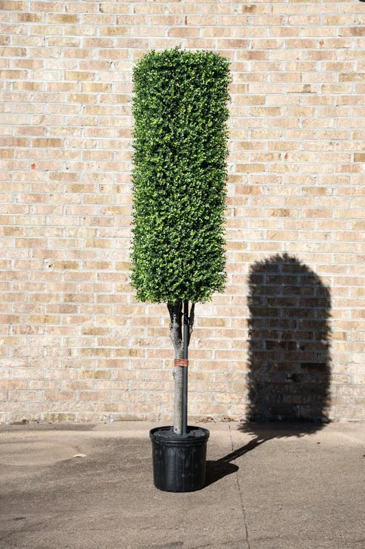 Boxwood Column Topiary 76"H