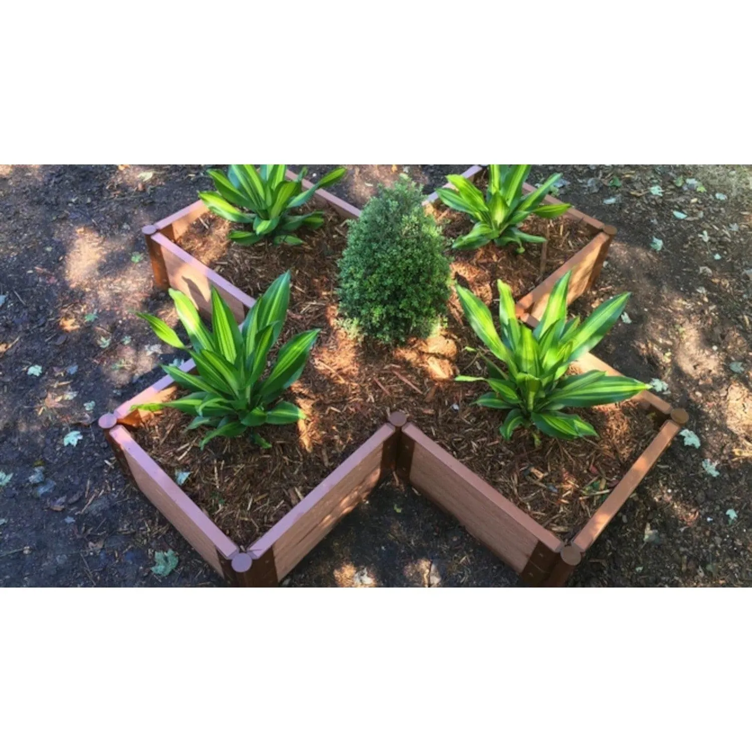 Frame It All | Tool-Free Military Medallion Raised Garden Bed (Kit Cross) 6' X 6' X 22" - Uptown Brown - 1" Profile