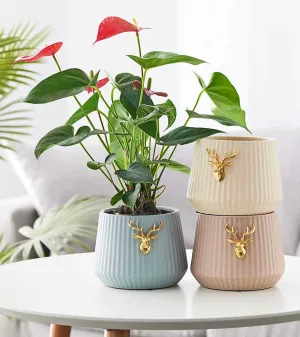 Gold Deer Embellished Ribbed Ceramic Pots - Modern Design