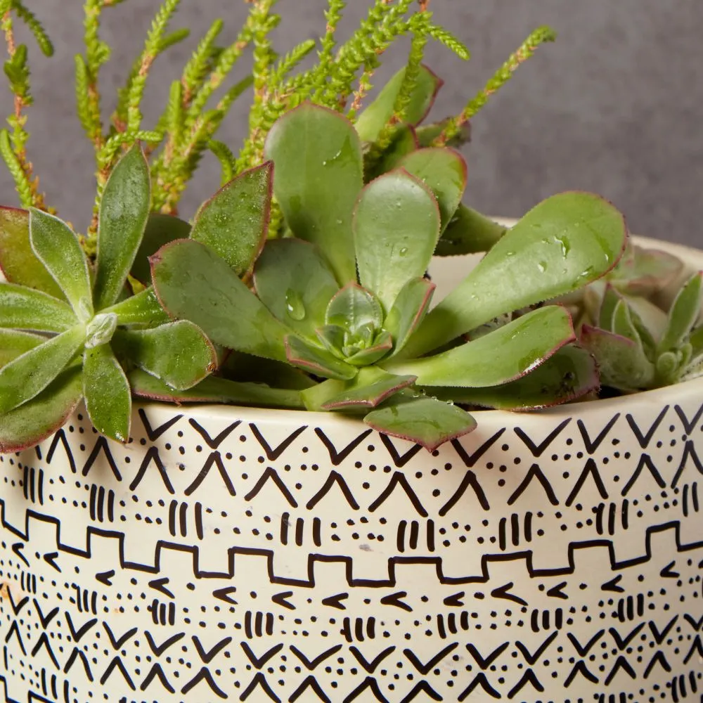 Kisii Soapstone Mud Cloth Round Succulent Pot