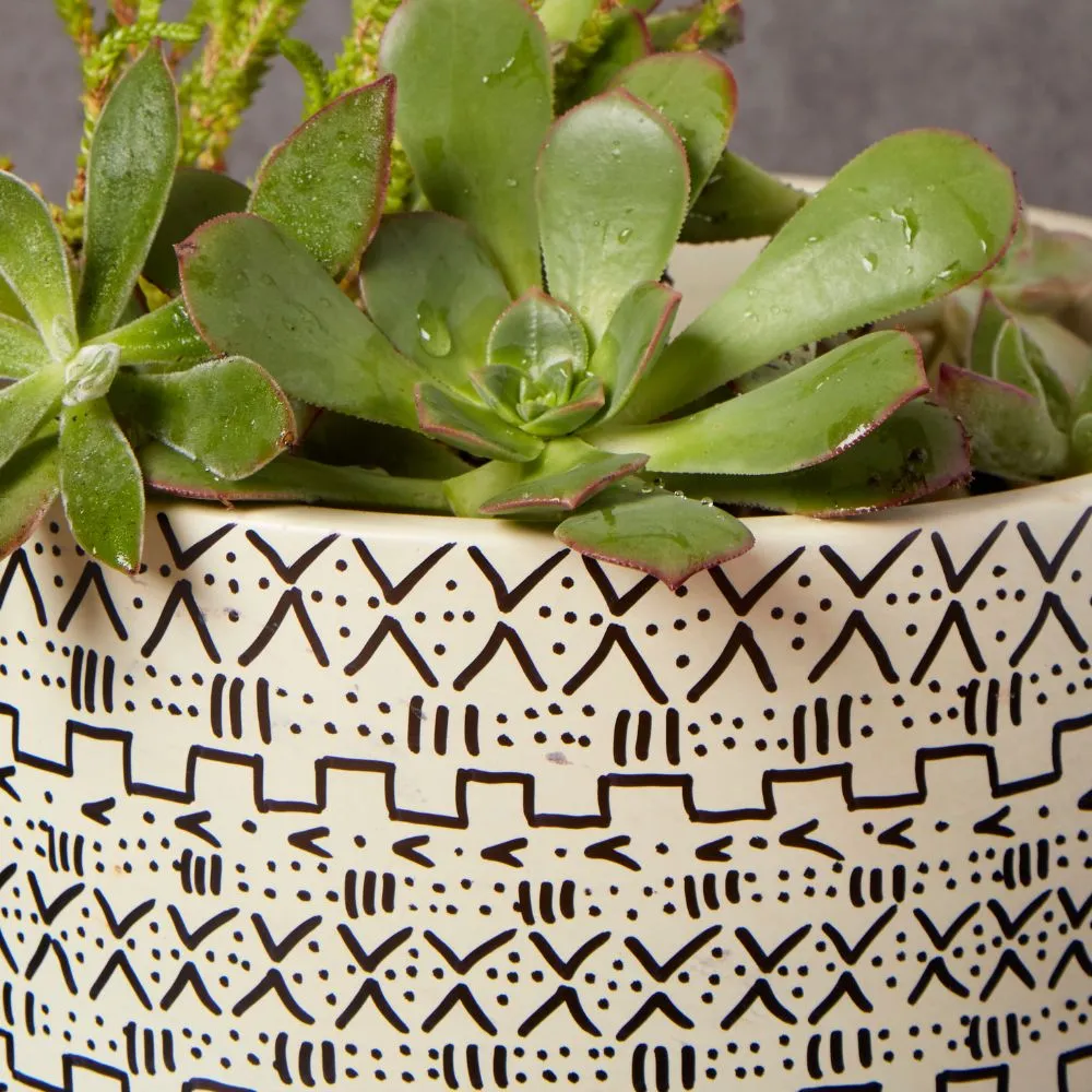 Kisii Soapstone Mud Cloth Round Succulent Pot