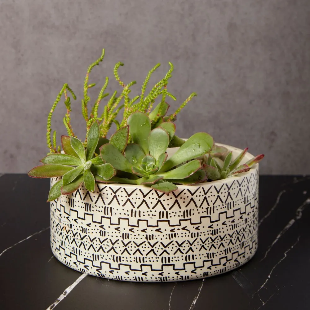 Kisii Soapstone Mud Cloth Round Succulent Pot