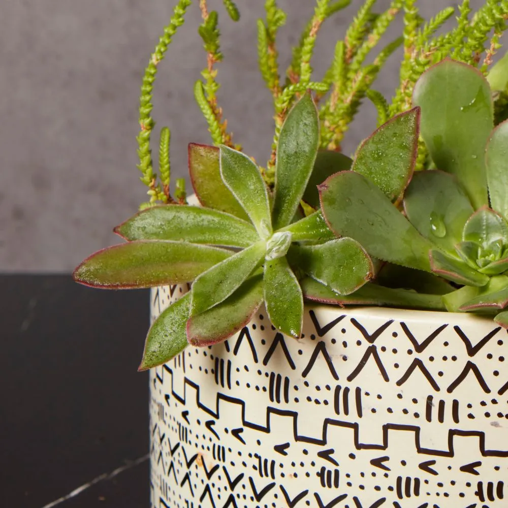 Kisii Soapstone Mud Cloth Round Succulent Pot