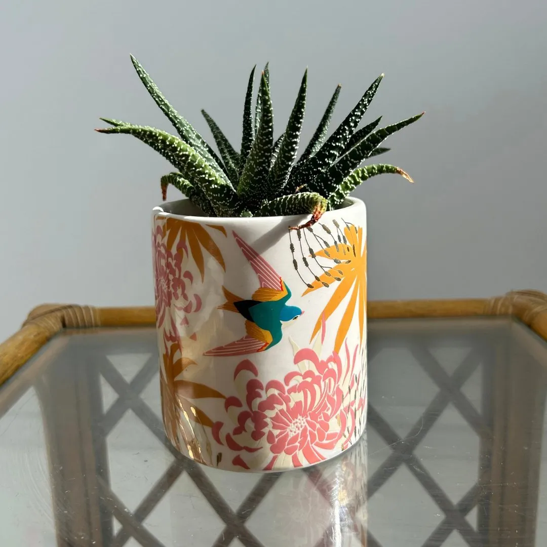 Luxe Swallow Planter