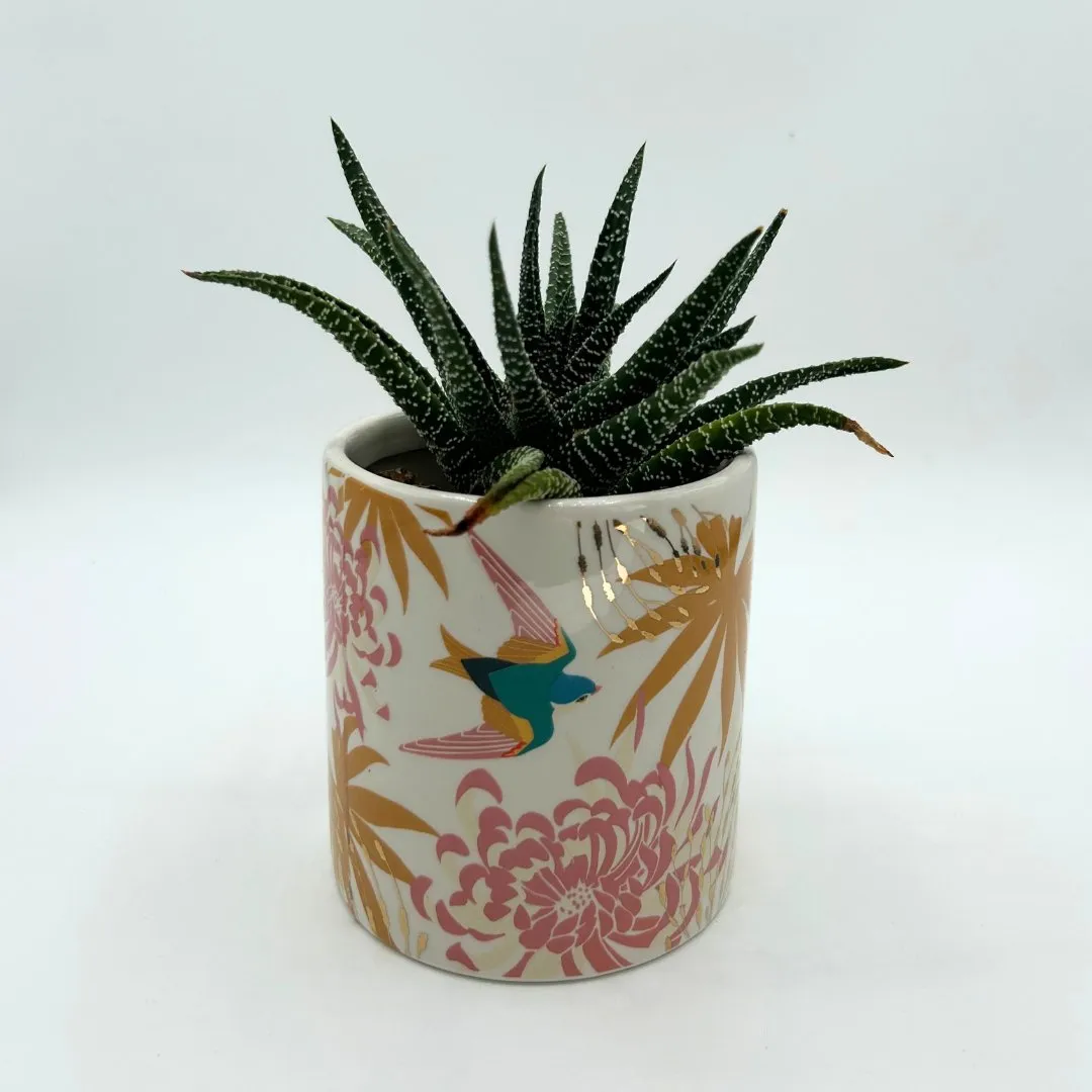 Luxe Swallow Planter