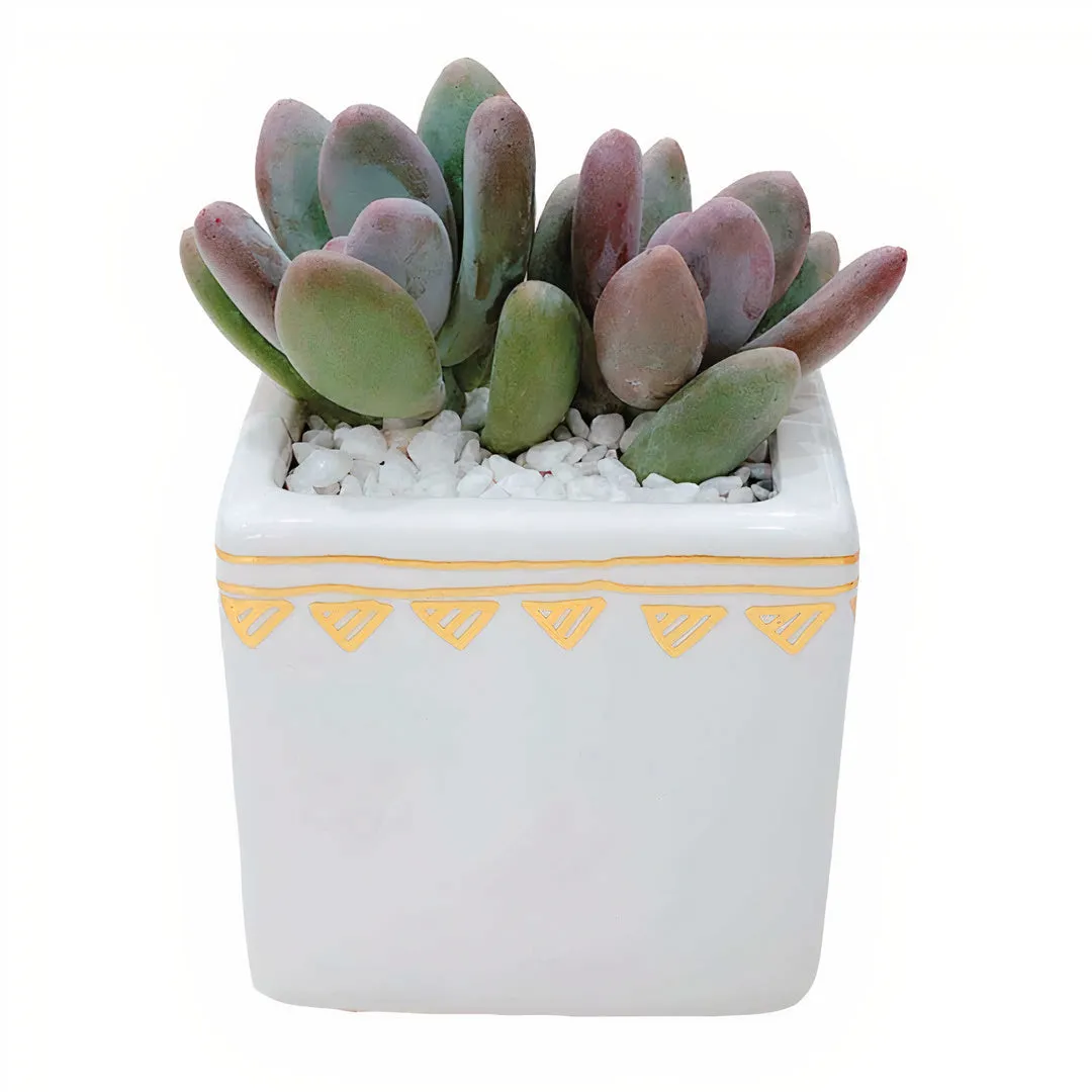 Poetic Rhapsody Planters Set of 2