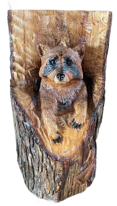 Raccoon in Log