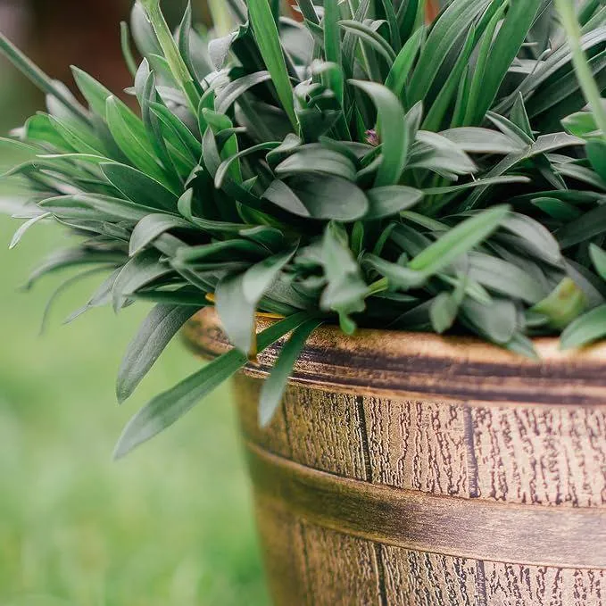 SG Traders™ Round Plastic Barrel Tub Planters