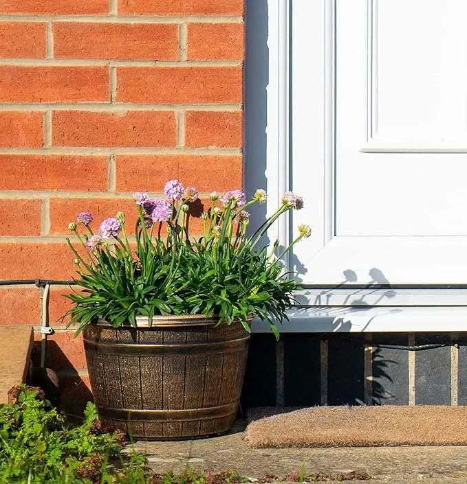 SG Traders™ Round Plastic Barrel Tub Planters