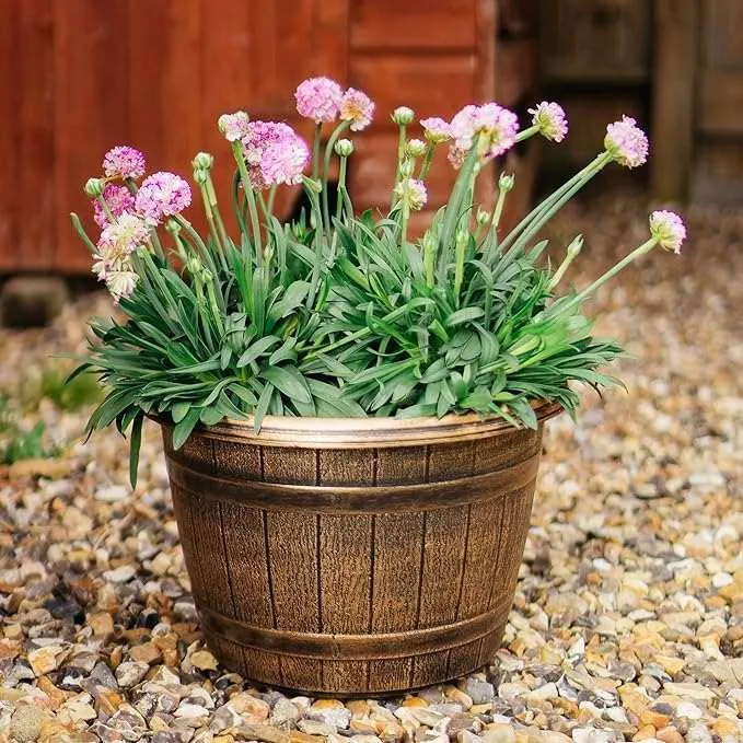 SG Traders™ Round Plastic Barrel Tub Planters