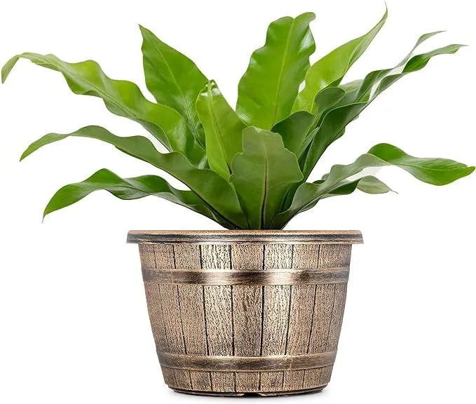 SG Traders™ Round Plastic Barrel Tub Planters