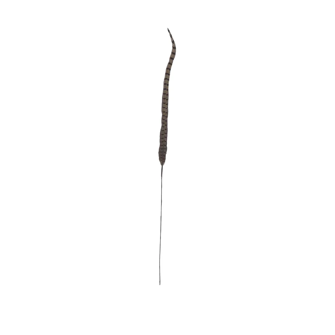 Tall Single Pheasant Feather Pick - Natural