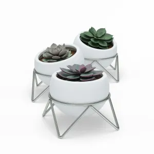 Umbra Potsy Planters 3pk - White & Nickel (Ó)