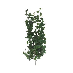 XLarge Dark Green Ivy Bush